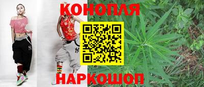стаф Кунгур