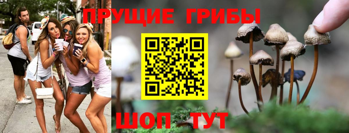 Псилоцибиновые грибы ЛСД  Вход с VPN  Псилоцибиновые грибы Magic Shrooms  Жигулёвск 
